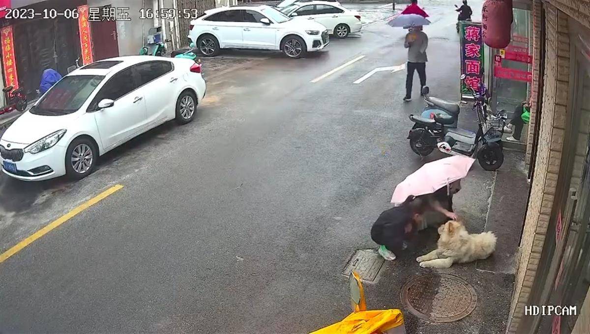 女子路边逗狗遭撕咬满脸是血，警方已介入，律师：若未拴绳狗主人将担责-第1张图片-太平洋在线下载