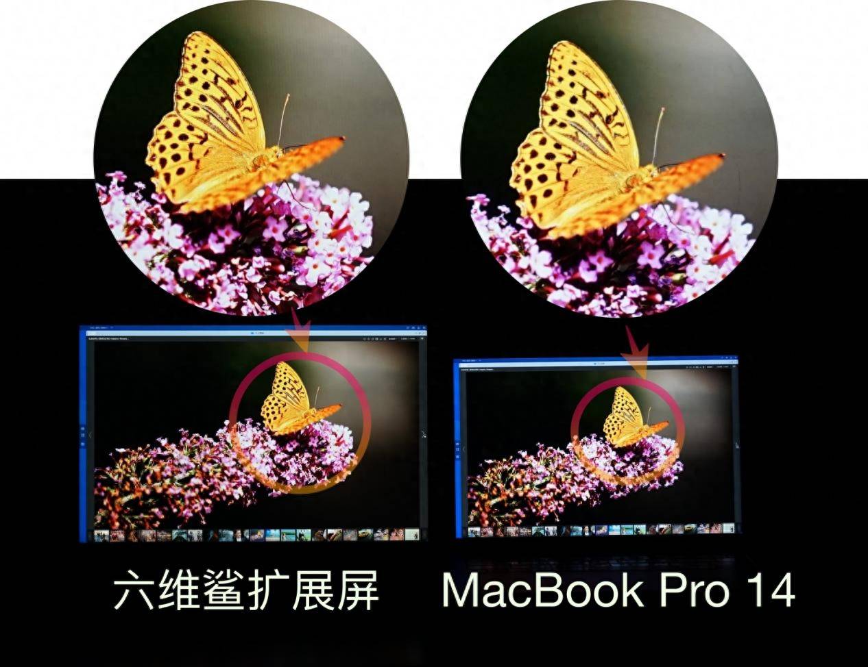让台式秒变触摸电脑,手机变超大平板:六维鲨C16Q2 触摸便携屏分享-第17张图片-太平洋在线下载