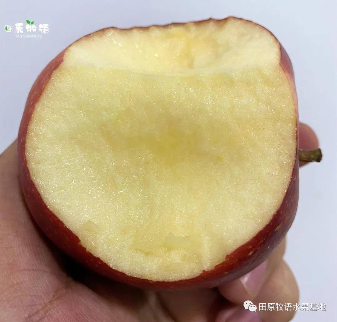香语苹果版香香苹果版下载-第2张图片-太平洋在线下载