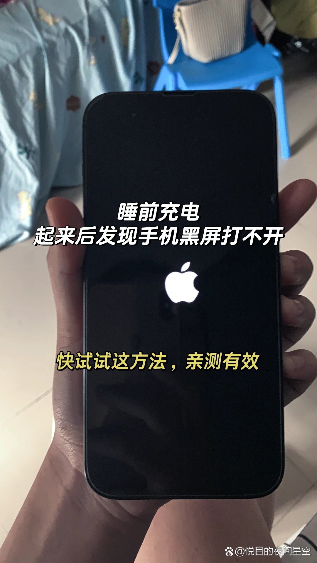 方舟手机版下载后黑屏方舟生存进化手机版下载安装