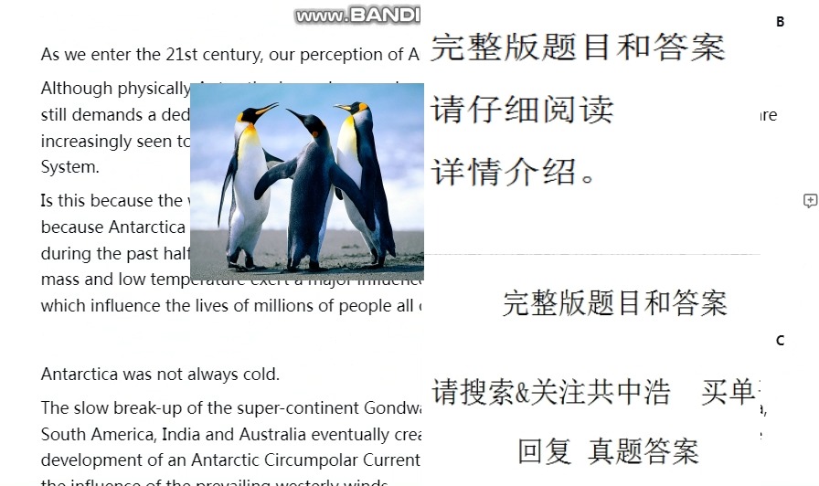 inantarctica安卓版antarcticamountain羽绒服-第2张图片-太平洋在线下载
