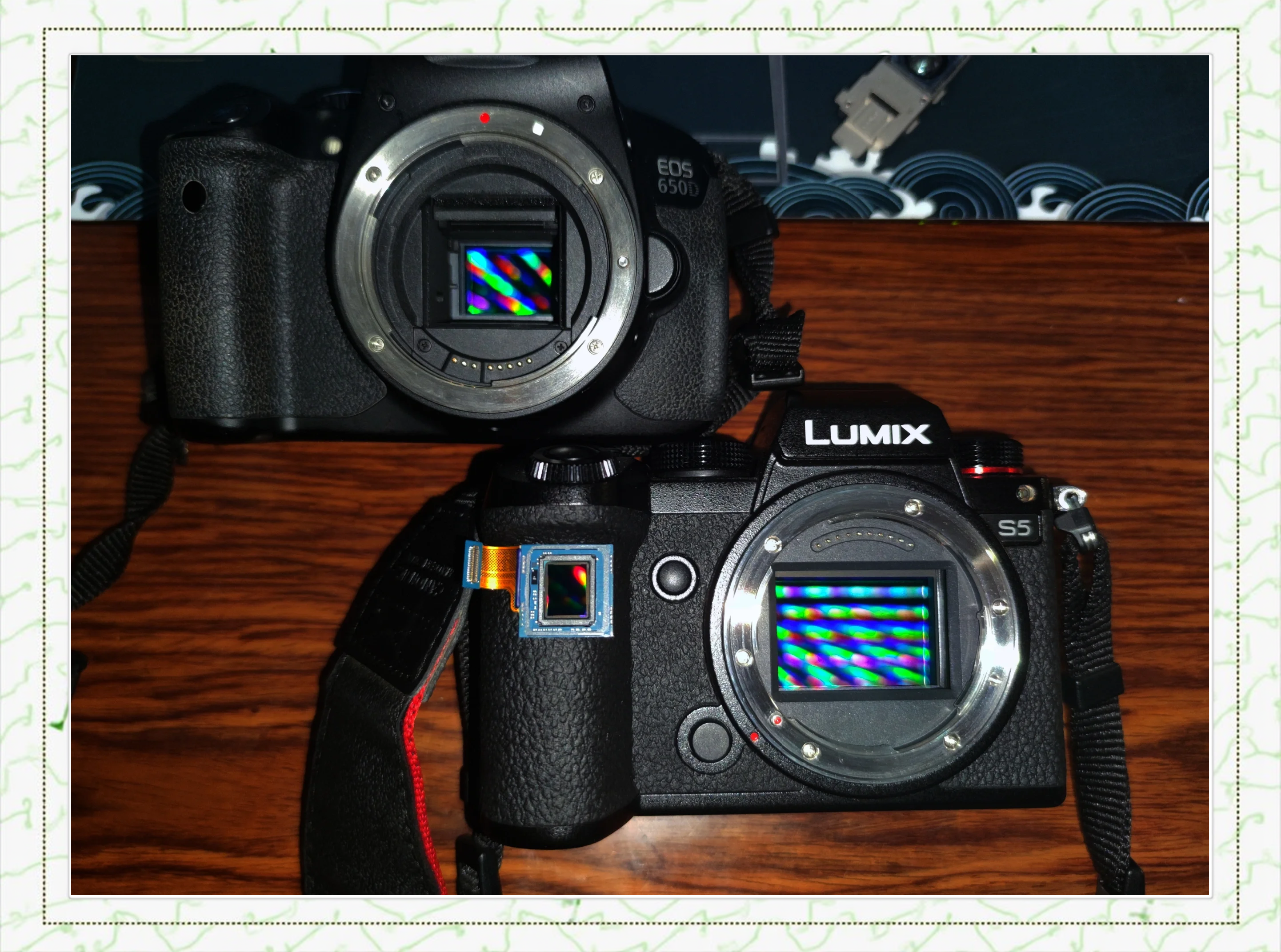 cmos苹果版(苹果相机的cmos)-第5张图片-QuickQ官网