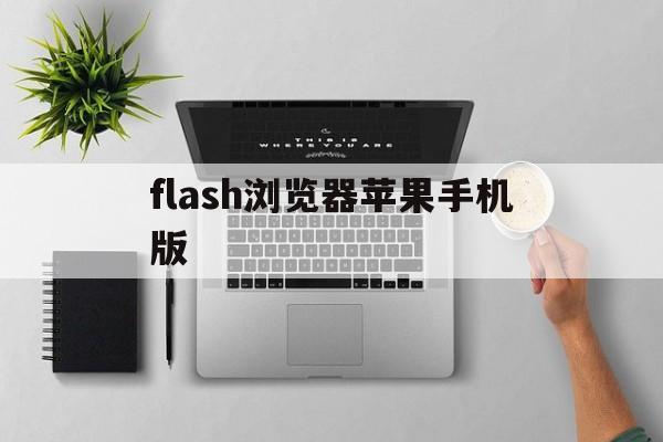 flash浏览器苹果手机版(flash player苹果手机版)-第2张图片-QuickQ官网