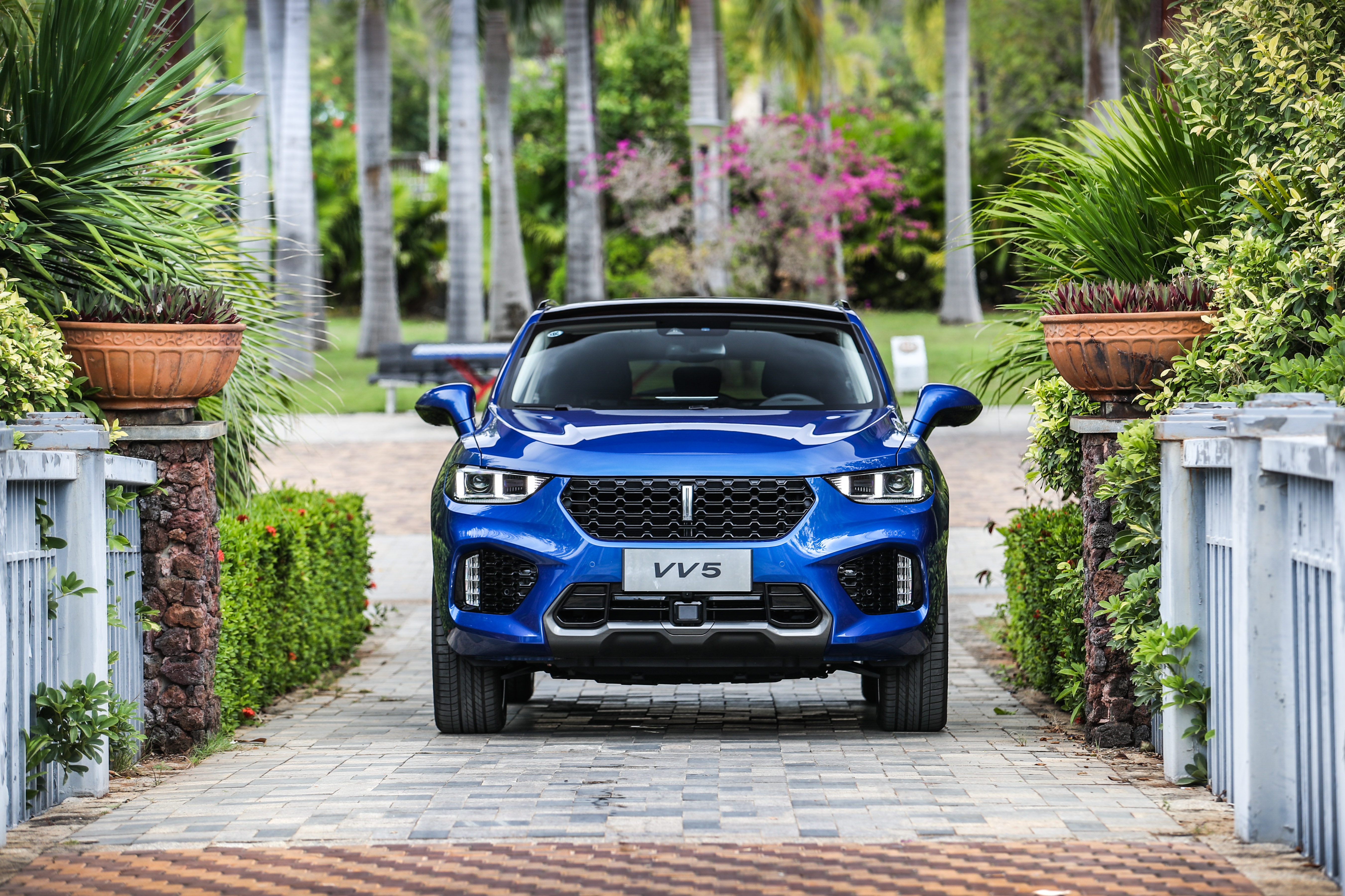 苹果版wey(苹果版ios版应用宝)-第4张图片-QuickQ官网