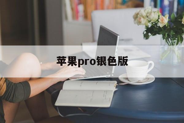 苹果pro银色版(苹果pro12银色)-第2张图片-QuickQ官网