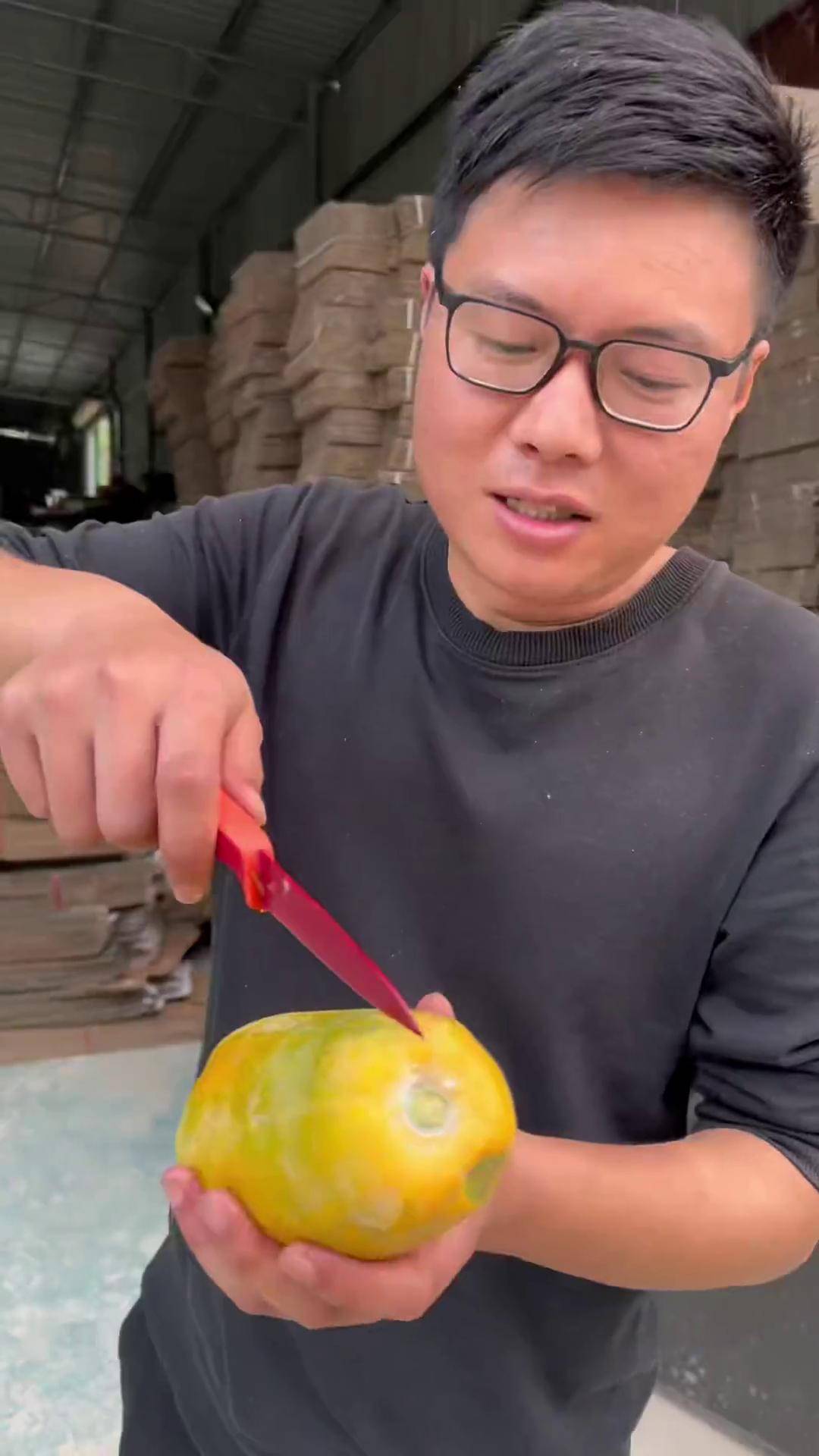 安卓版木瓜直播下载安装(安卓版木瓜直播下载安装手机)-第3张图片-QuickQ官网