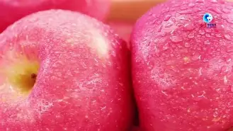 关于非特苹果版的信息-第3张图片-QuickQ官网