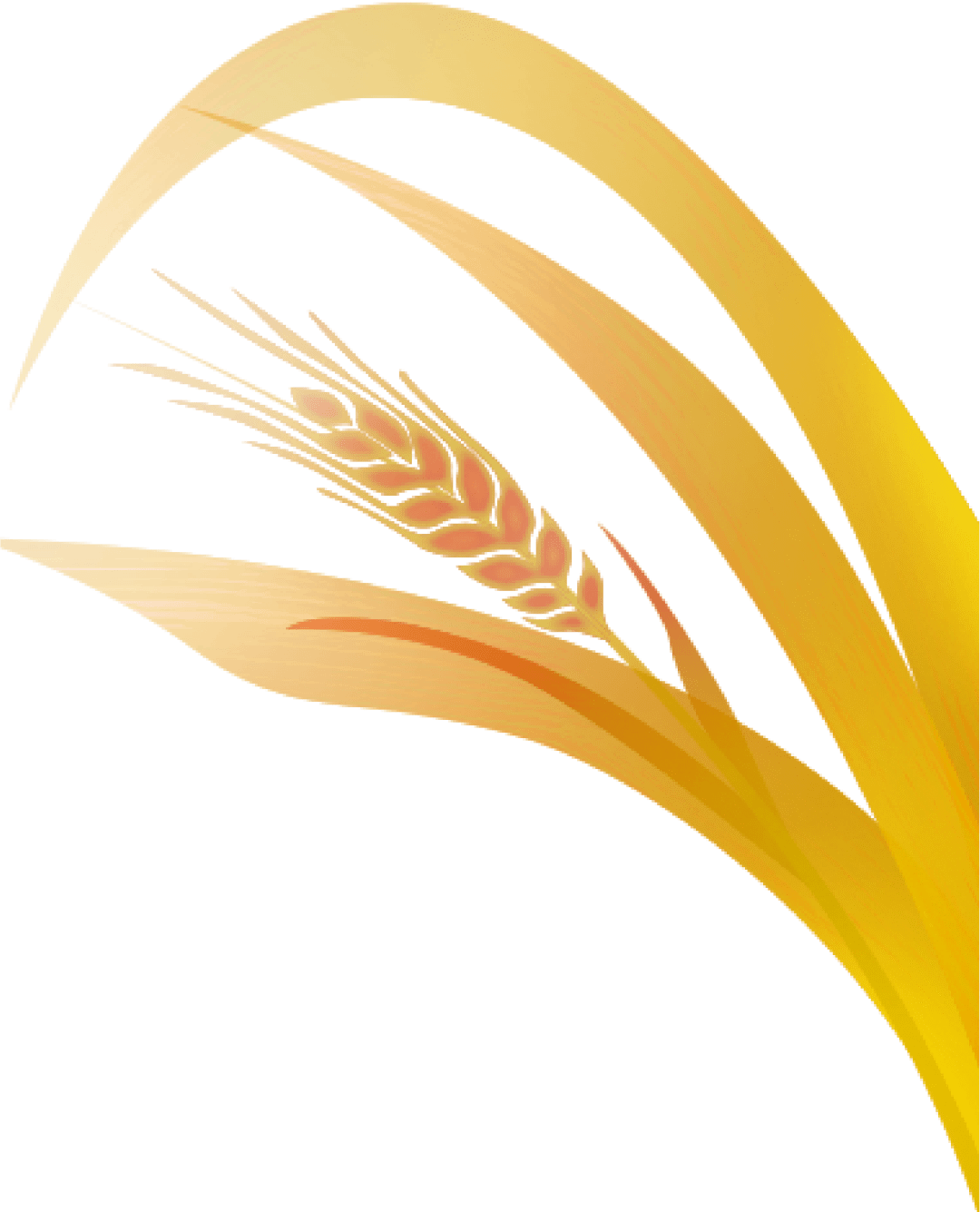 三农致富经手机版(三农致富经 创业项目)-第3张图片-QuickQ官网