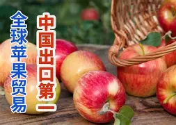 qbittorrentios苹果版的简单介绍-第5张图片-QuickQ官网